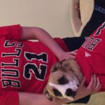 IMG_7698-1-3200×1000