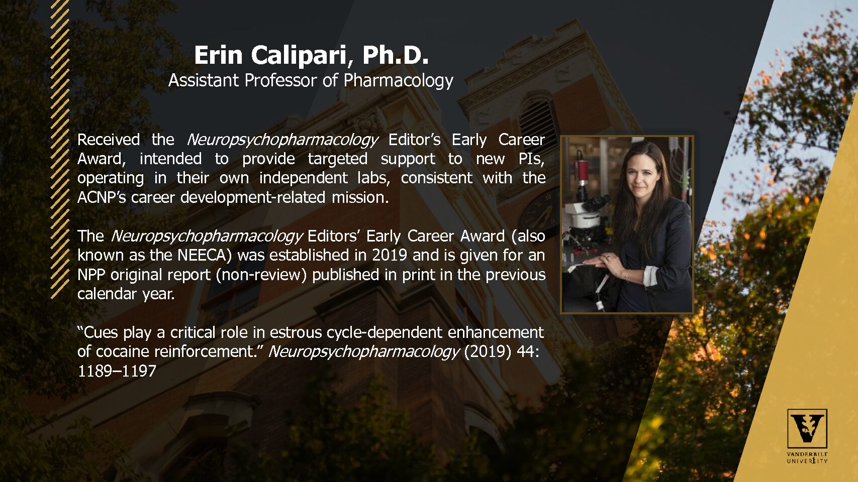 Neuropsychopharmacology Editors’ Early Career Award 2020 Calipari