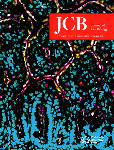 journal of cell biology cover letter