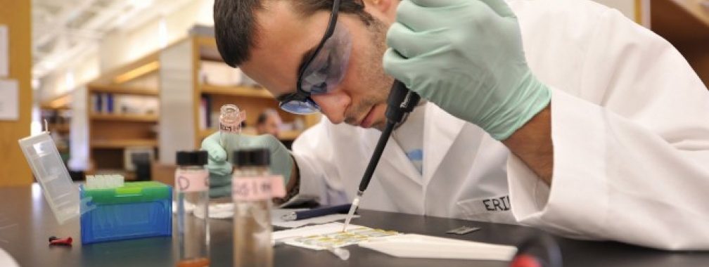Training Program In Environmental Toxicology Vanderbilt University