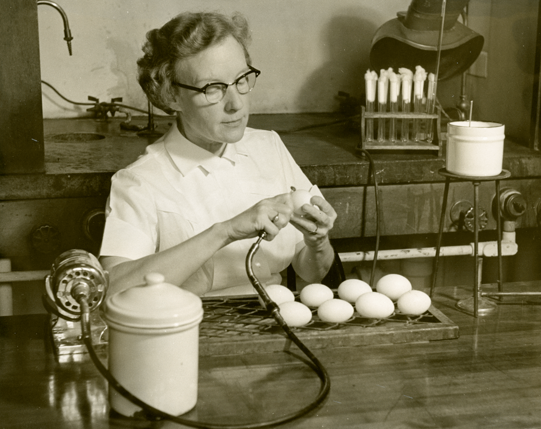 Egg Drill - Marguerite Snyder, ca.1955