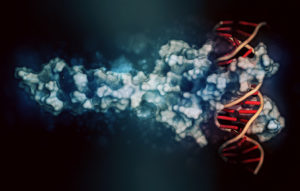 A 3D visualization of the transcription factors MYC and MAX (gray/blue) bound to a DNA helix (red/orange).