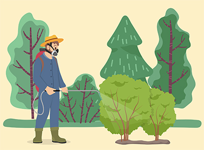 A cartoon of a person with a hat and a mask spraying pesticides onto two bushes. They’re carrying the pesticide(s) in a tank held on their shoulders. In the background are more trees and shrubs.