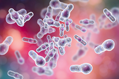 3D-rendered C. difficile bacteria. They are rods with bulges at one end. They are white/transparent and purple. The background is blurry and not discernible.