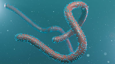 A 3D rendering of a Marburg virus, which resembles the Ebola virus and is vaguely shaped like an ampersand. The virus is brown on a blue background and has tiny blue spheres scattered all over its surface.