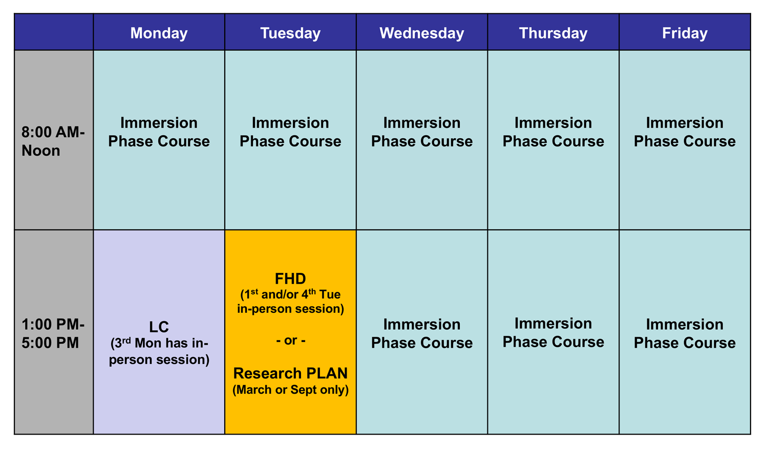 Immersion Courses | Curriculum | Vanderbilt University