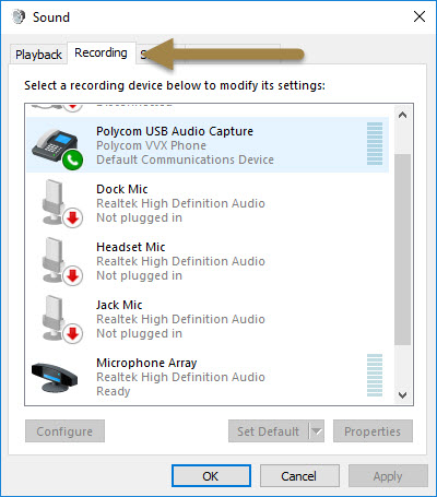 screen recorder windows 10 with mic