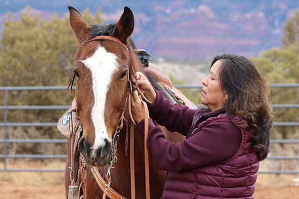 Alumna Annie Moon puts the bridle on her horse, August Moon.