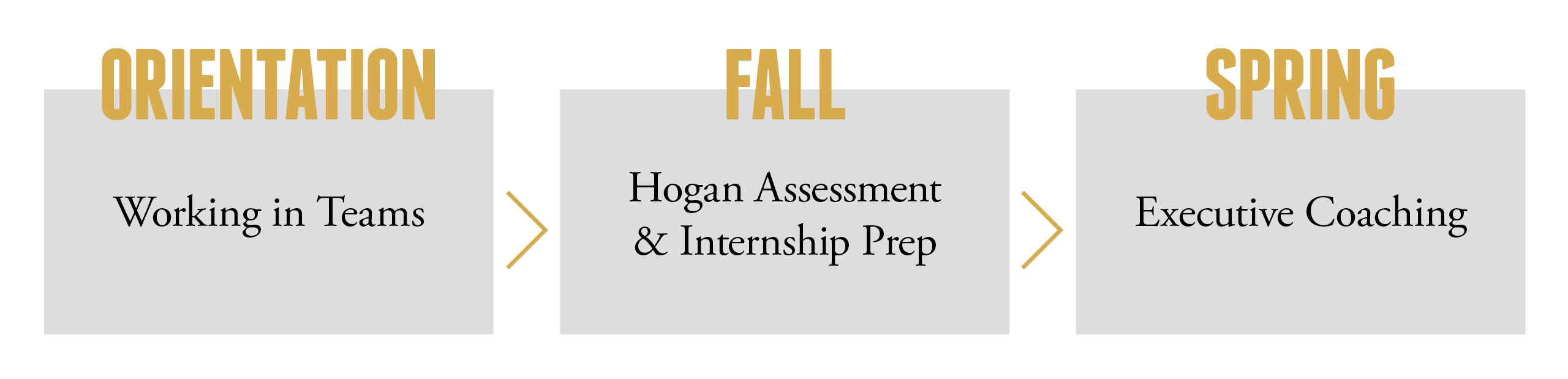 Vanderbilt MAcc students benefit from the Hogan Assessment and executive coaching in LDP.