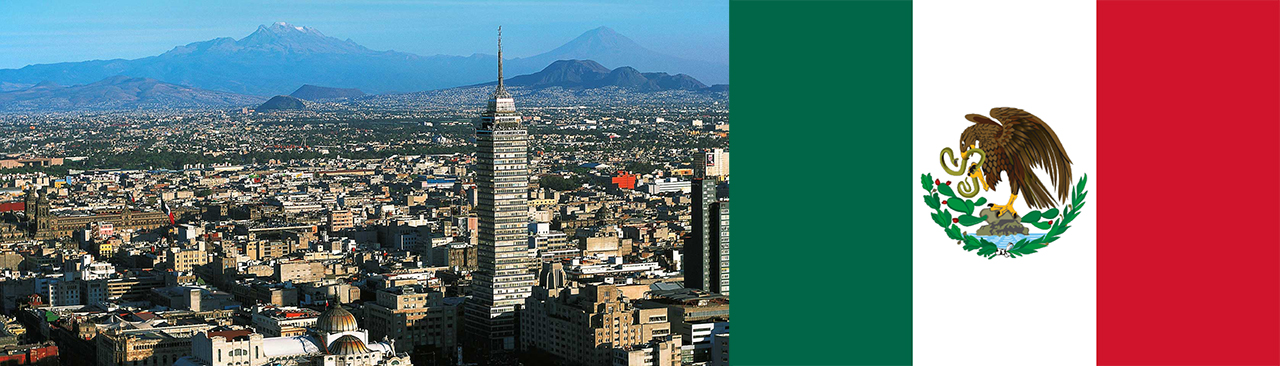 Global Executive MBA Americas, Mexico Immersion