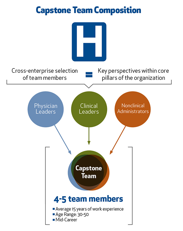 Master of Management in Healthcare team composition.