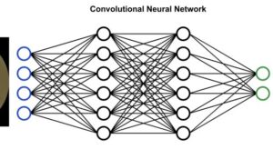 Automated diagnosis of 7 retinal diseases with convolutional