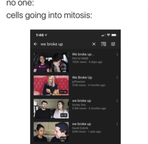 Meme using a screenshot of YouTube breakup videos to humorously illustrate how cellular mitosis works