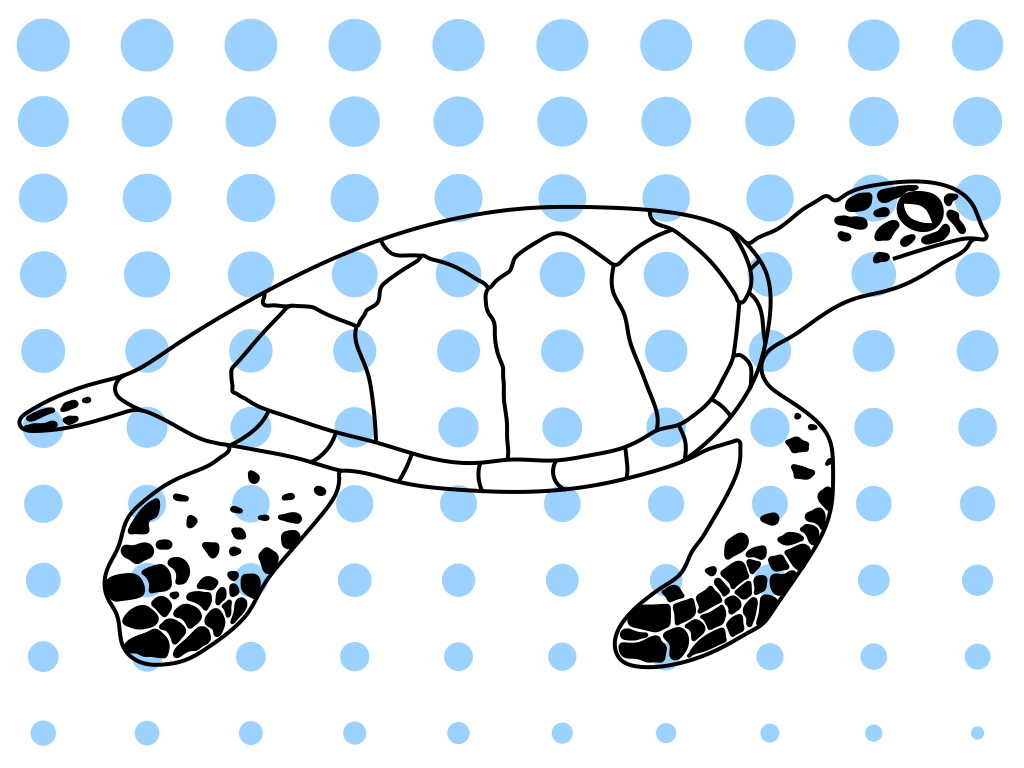 A black-and-white drawing of a hawksbill turtle, overlaid with light-blue dots that gradually decrease in size from the top to the bottom of the picture