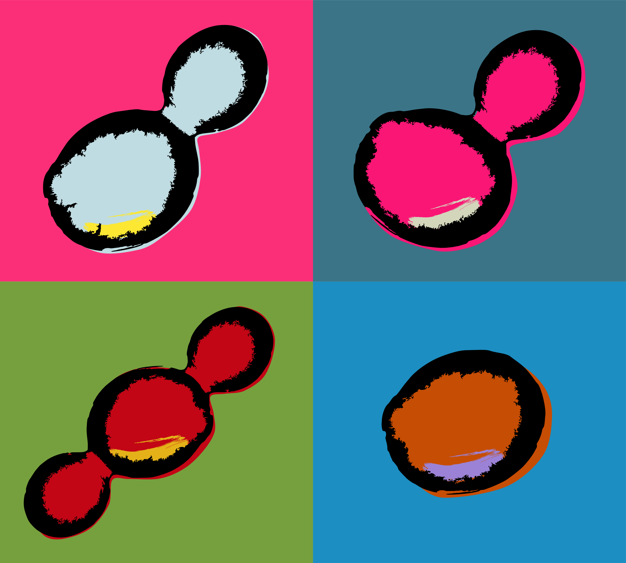 Brightly colored art depicting four squares, each containing a simplified image of budding yeast
