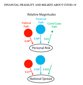 Diagram with colored circles and arrows showing that political affiliation and personal finances have a greater effect than COVID case numbers on people's beliefs about COVID.