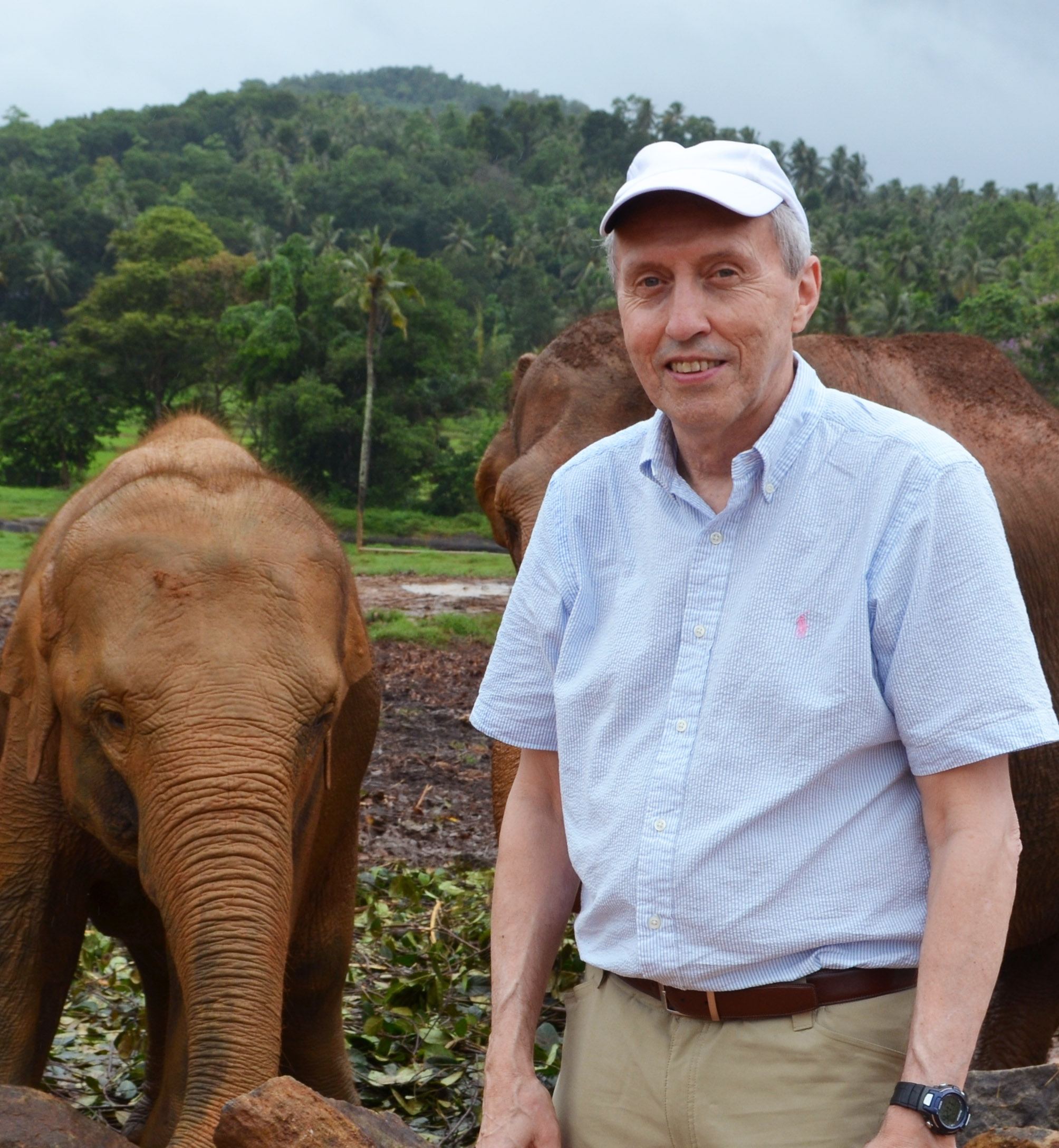 George Hornberger standing in a field with elephants, trees, and hills in the background