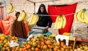 New Article by Prof Wasserstein - What has that got to do with the price of bananas in Tunisia?