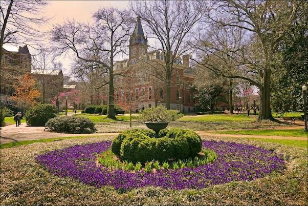 vanderbilt university fully funded mfa in creative writing