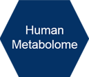 Human Metabolome
