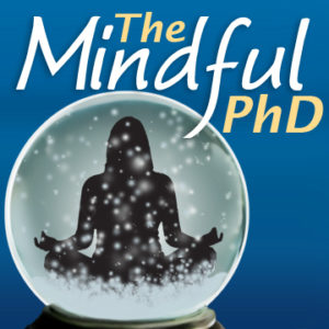 The Mindful PhD