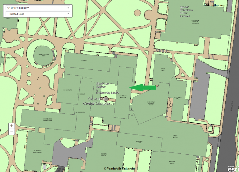 Teaching at Vanderbilt (TAV) Center for Teaching Vanderbilt University