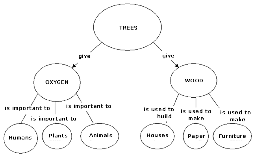 culture media concept map