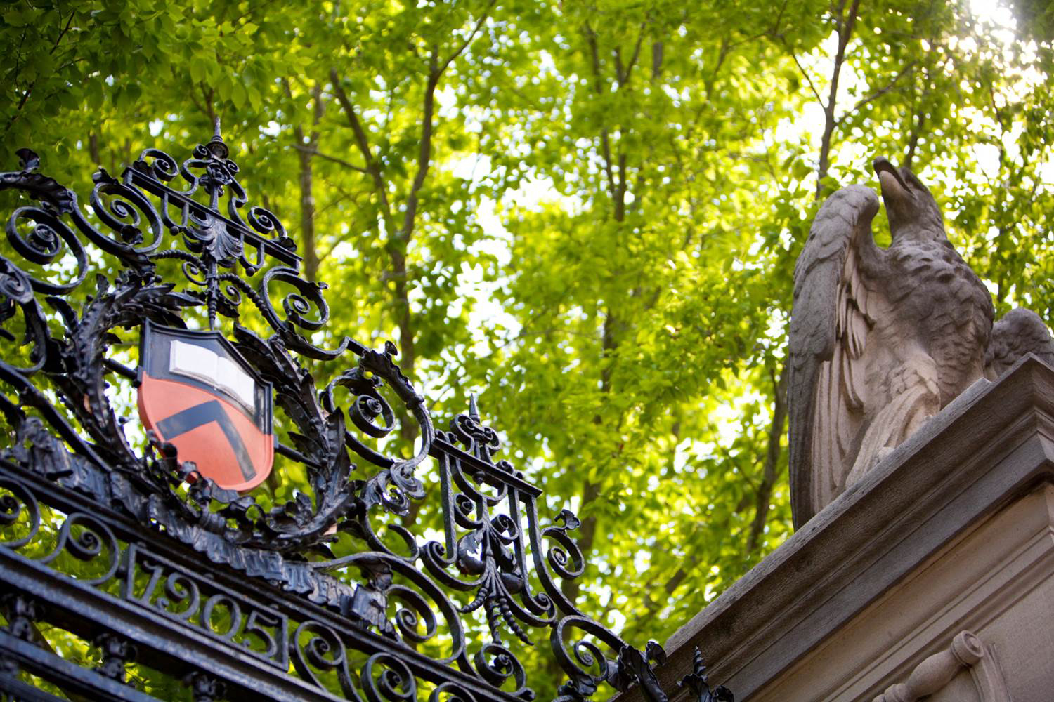 Princeton Princeton