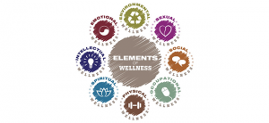 elements of wellness