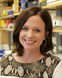 Vanderbilt University