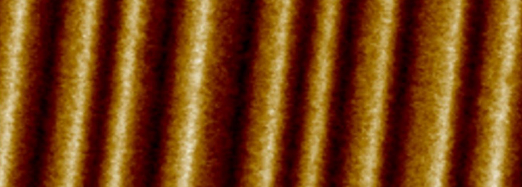 Tapping-mode AFM topography image of 3.5 inch floppy disk and magnetic force microscopy image of disk’s periodic magnetic domains. 