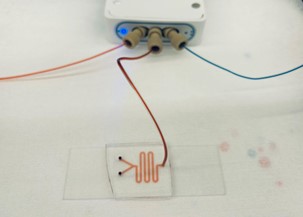 Microfluidic Flow Control System