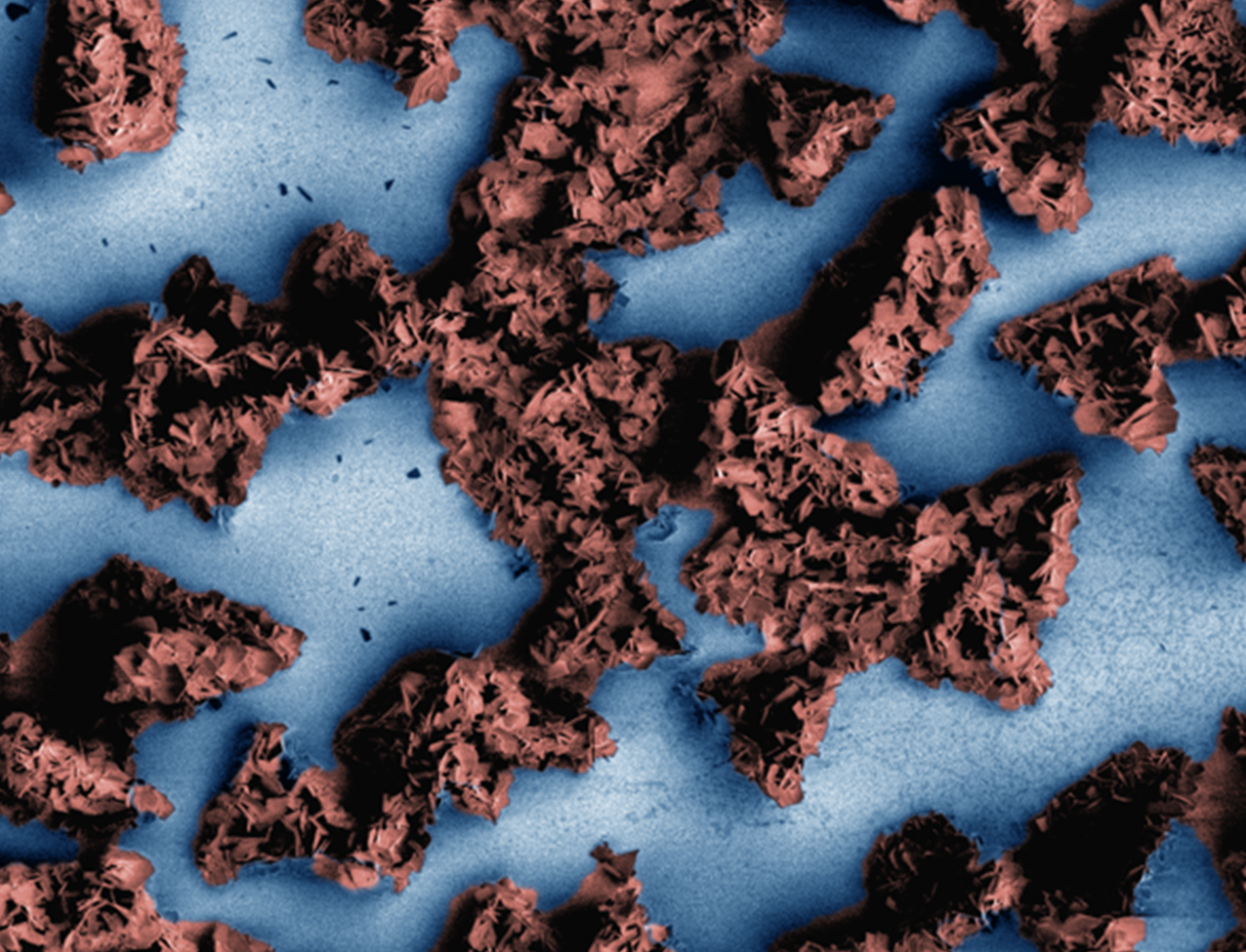 VINSE Electroplated Nachos