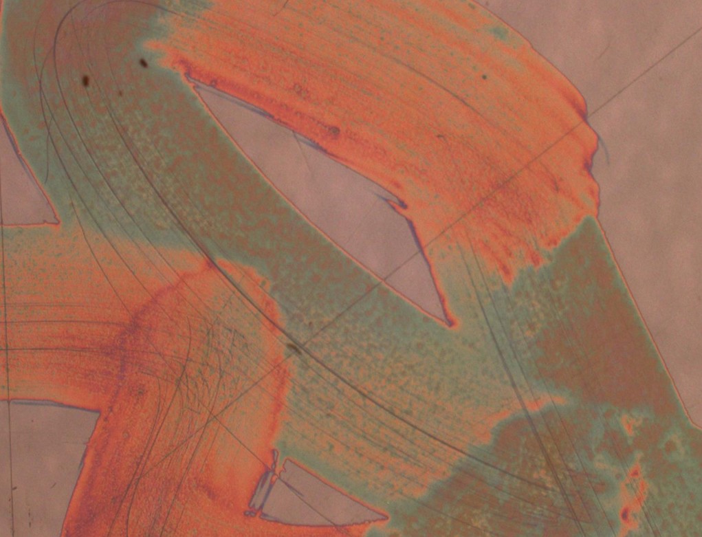 Image from Olympus Microscope