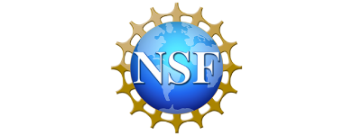  NSF Logo