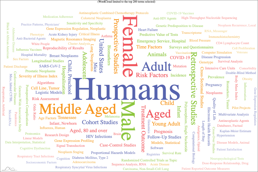 Word cloud generated on October 7, 2025, pulling MESH terms from the department's Flight Tracker publications database (e.g., humans, female, male, middle-aged, retrospective studies, prospective studies, risk factors, etc.) 