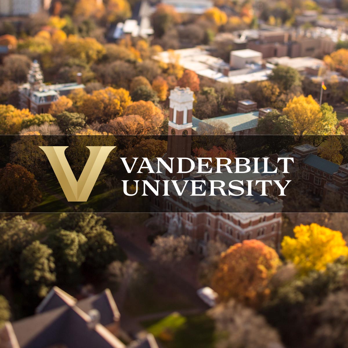 Revised Common Lectionary 2024 Vanderbilt Lyn Anastassia